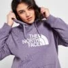 The North Face Plus Size Drew Peak Hoodie -Dameskledingwinkel jd 612504 a