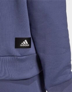 Adidas Sportswear Future Icons Hoodie 11 Adidas Sportswear Future Icons Hoodie -Dameskledingwinkel jd HA7646 e